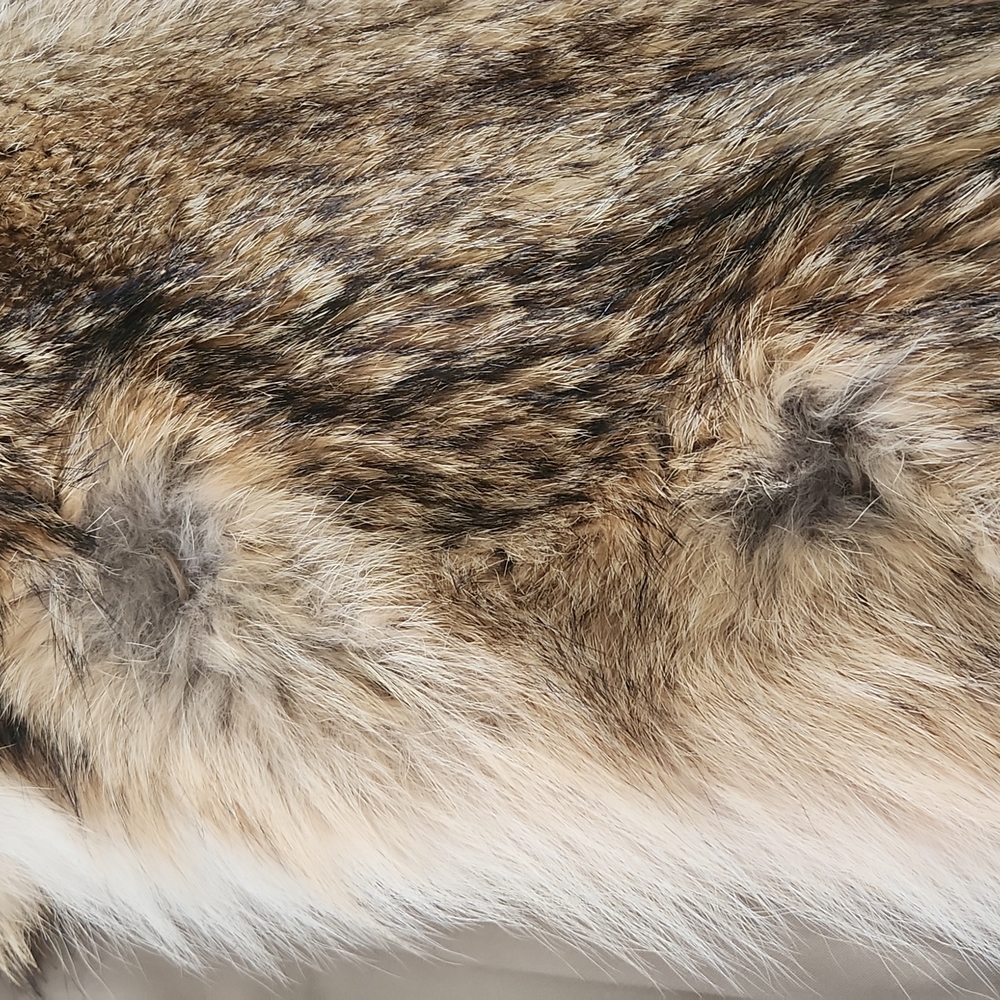 New Canadian Fur Co. Authentic Natural Letout Coyote Fur Jacket/ Coat - Picture 10 of 17